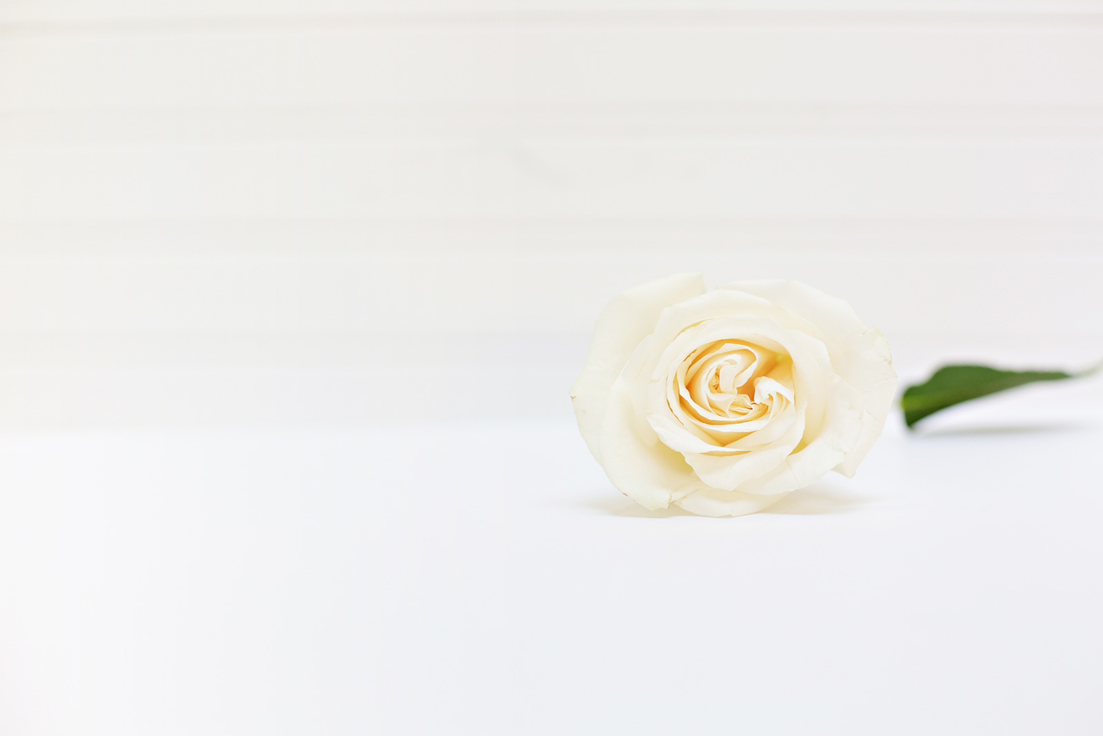 death_to_stock_communicate_hands_4